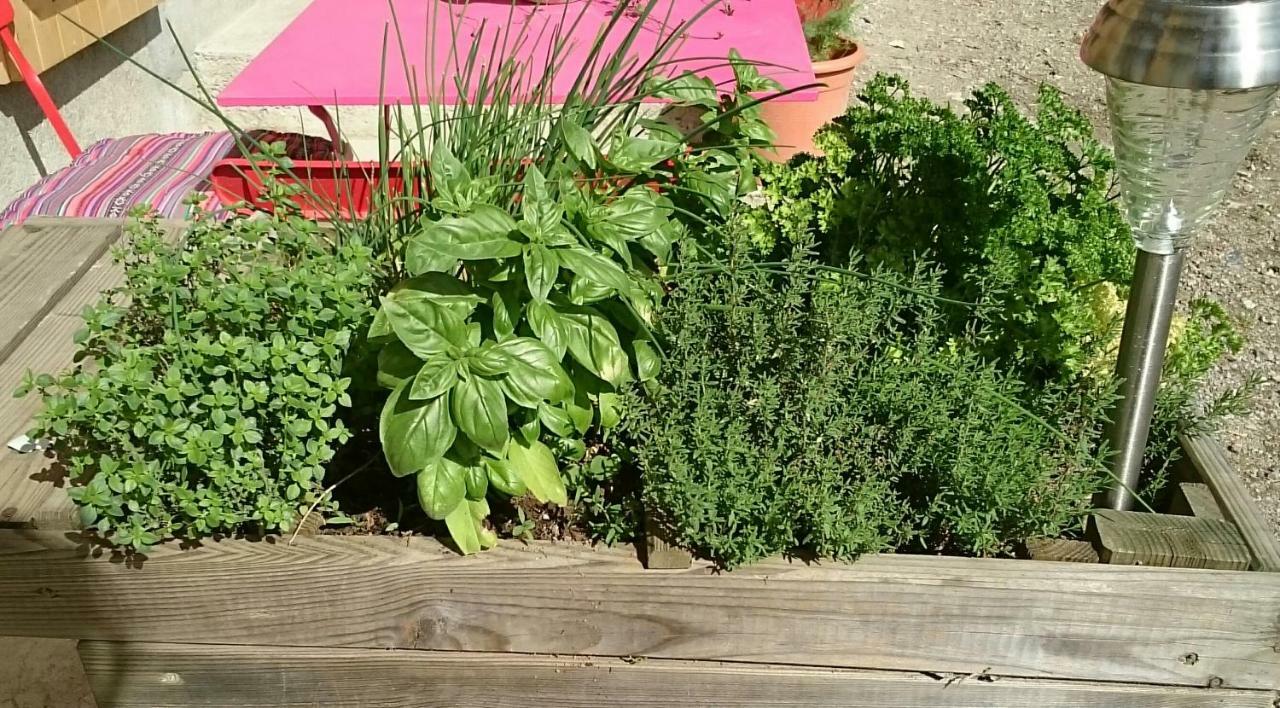 Ferme Familiale Chez Lili Βίλα Alex Εξωτερικό φωτογραφία
