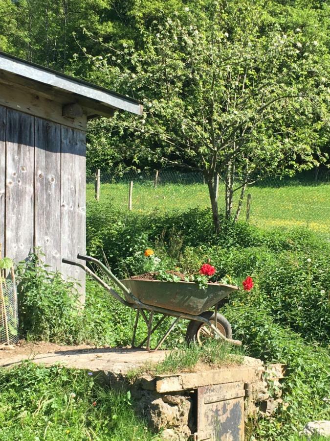 Ferme Familiale Chez Lili Βίλα Alex Εξωτερικό φωτογραφία